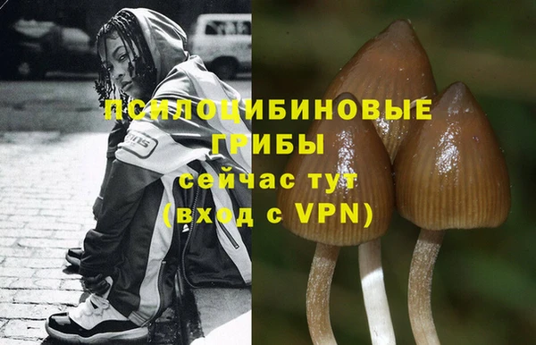 таблы Арсеньев